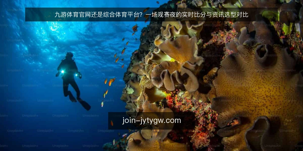 九游体育官网还是综合体育平台?一场观赛夜的实时比分与资讯选型对比 — 观赛夜前的场景设定 配图